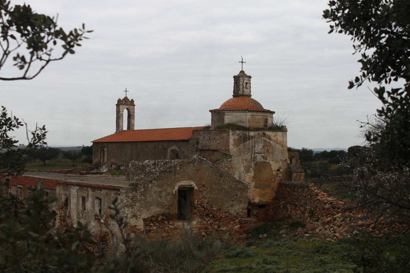 Fotos: Almendro Real (II)