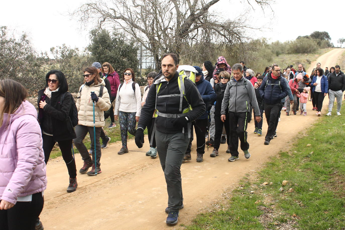 Fotos: Almendro Real (II)