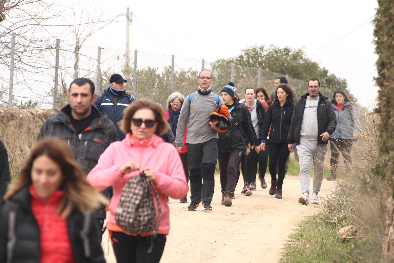 Fotos: Almendro Real (II)