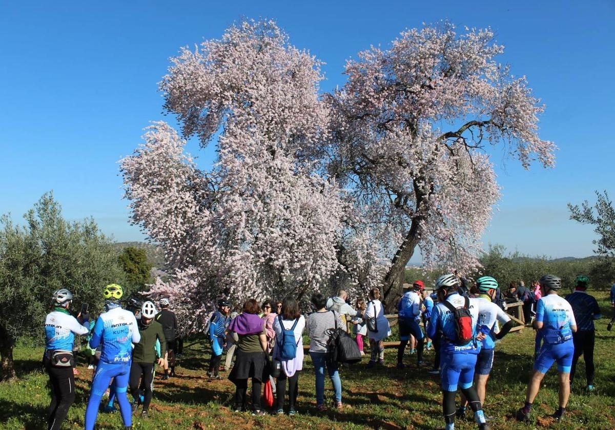 Imagen principal - Algunas imágenes de la ruta