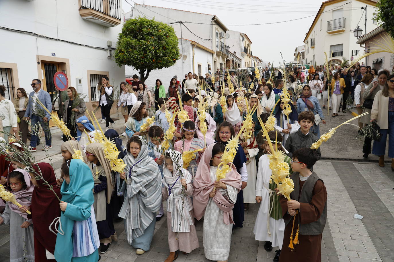 Domingo de Ramos 2024