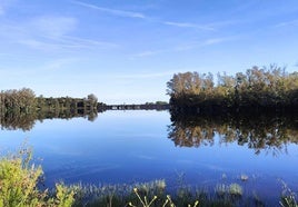 Pantano de Piedra Aguda