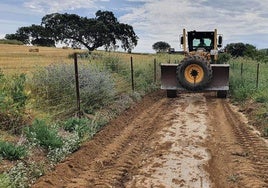 Trabajos en los caminos