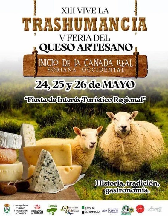 Programación para este domingo