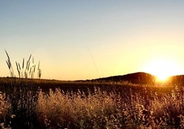 Atardecer sobre El Rebellao