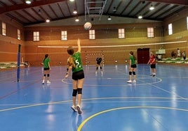 Torneo de voleibol