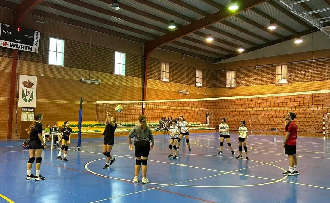 Torneo de verano de Voleibol
