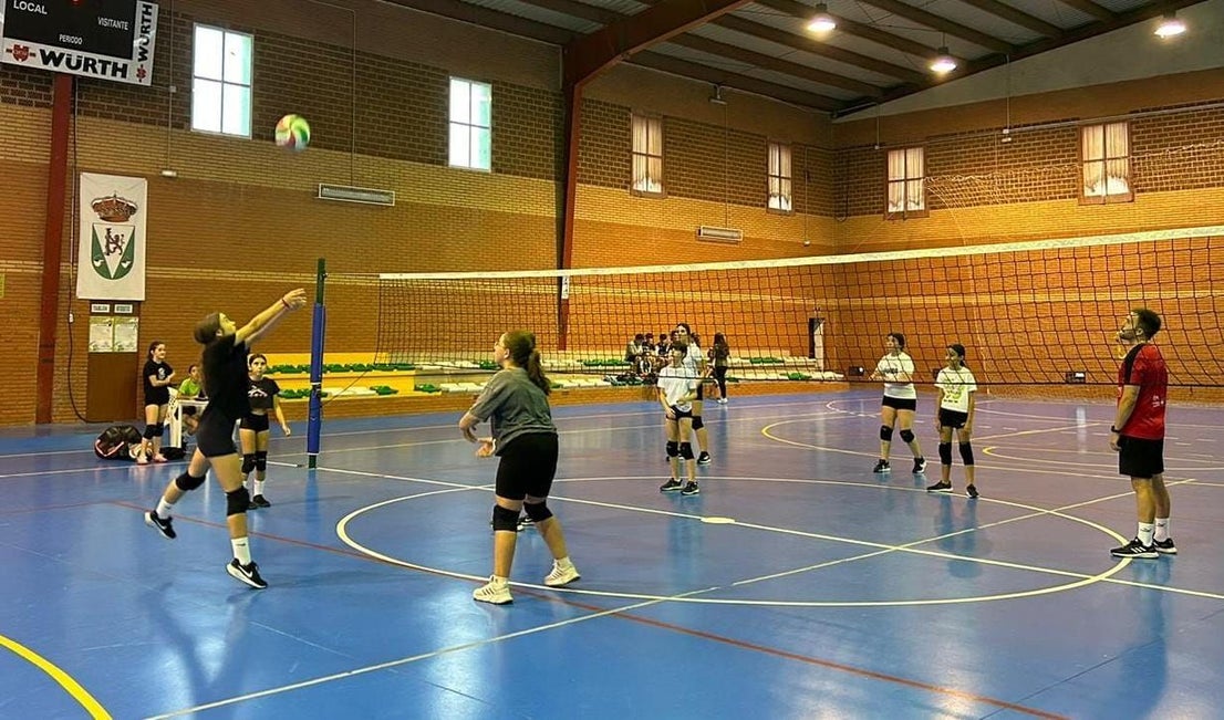 Torneo de verano de Voleibol