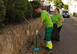 Tareas realizadas en las zonas verdes