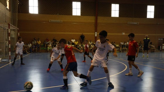 Fútbol Sala Base