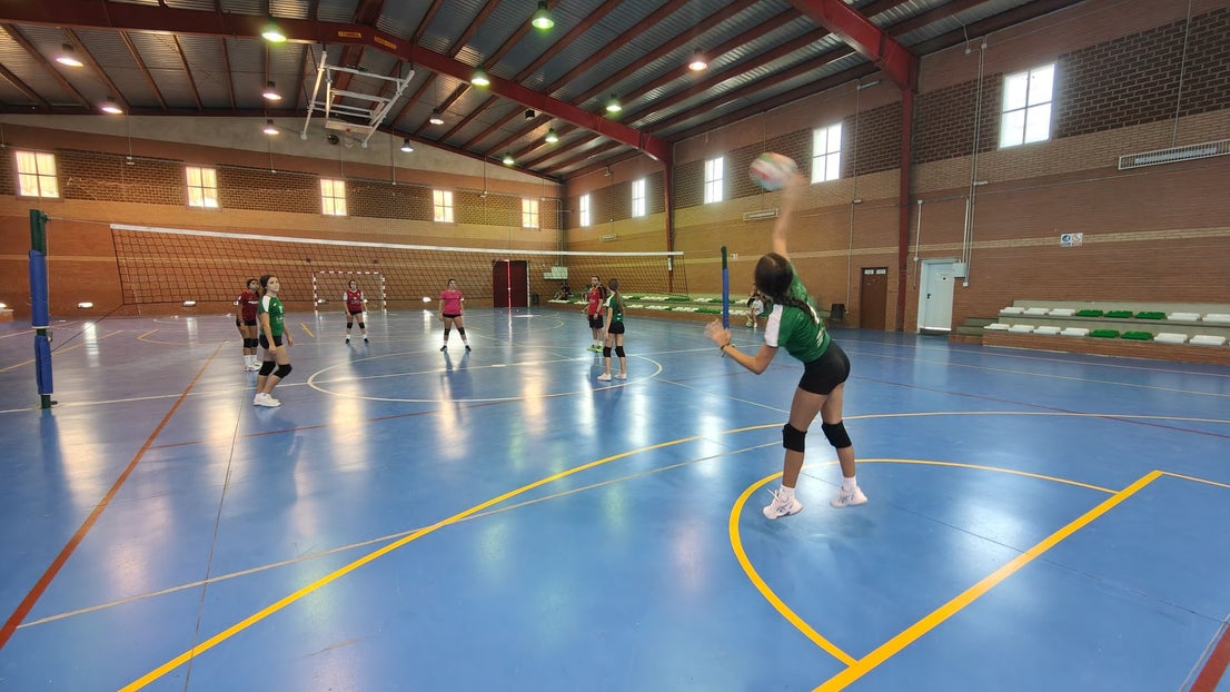 Torneos de verano de Voleibol