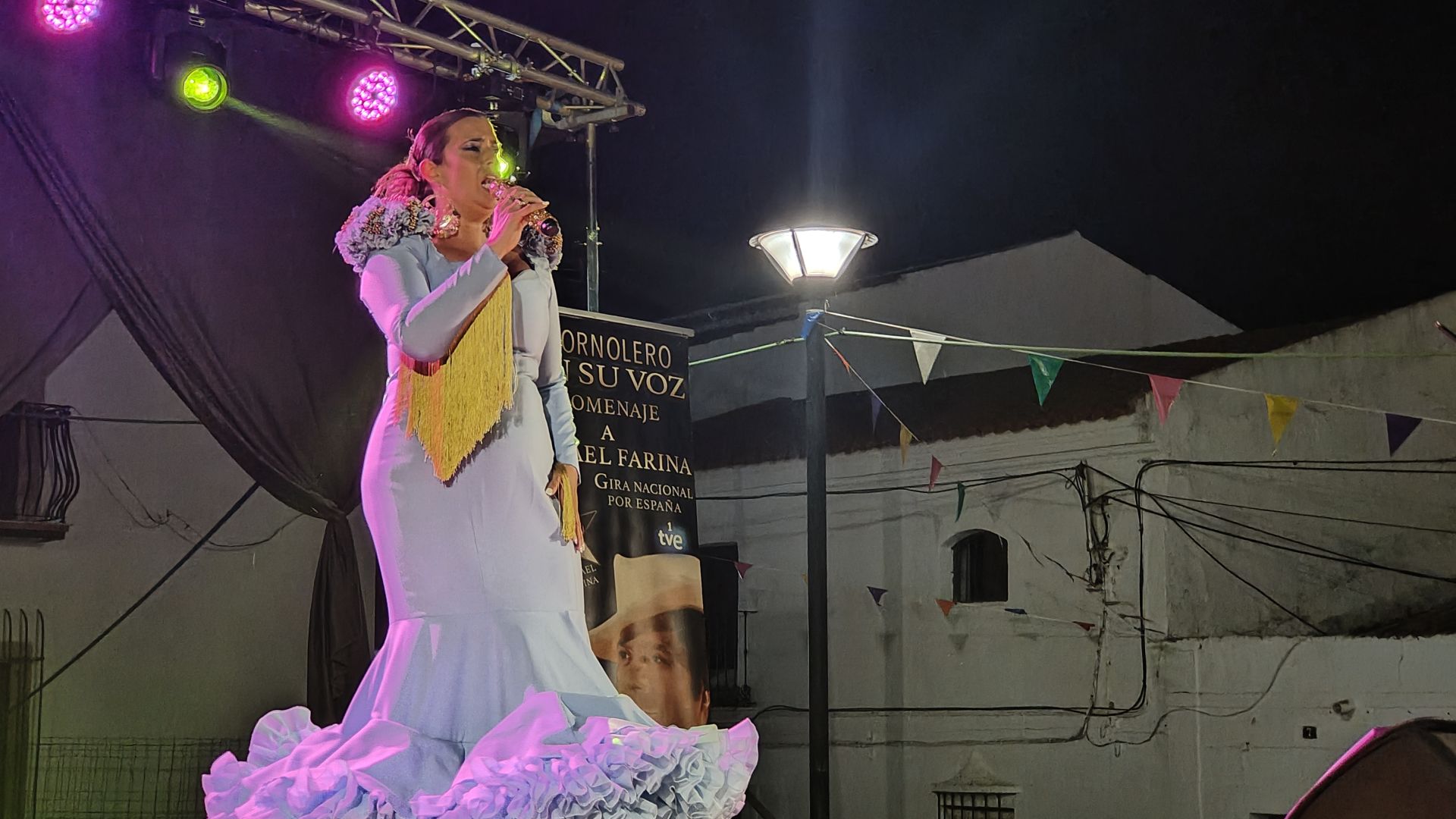 Ferias y Fiestas de Agosto 2024 (V)