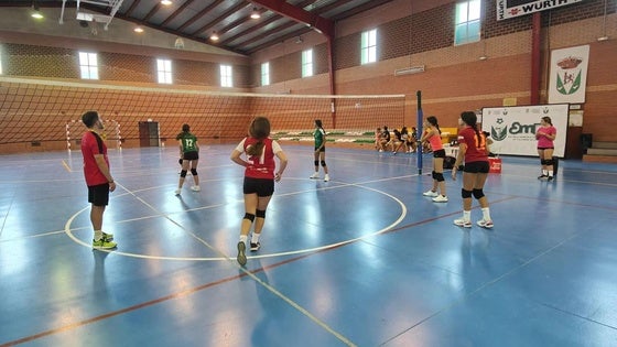 Abierto el plazo de inscripción a los equipos de voleibol