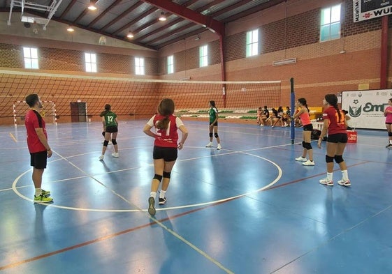 Abierto el plazo de inscripción a los equipos de voleibol