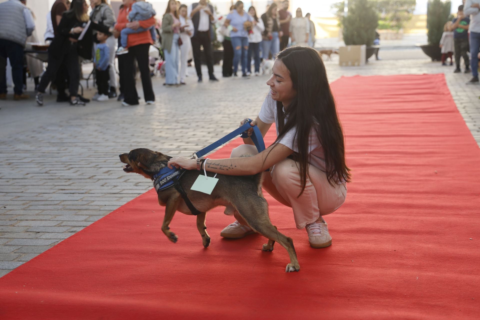 V Desfile Canino (I)