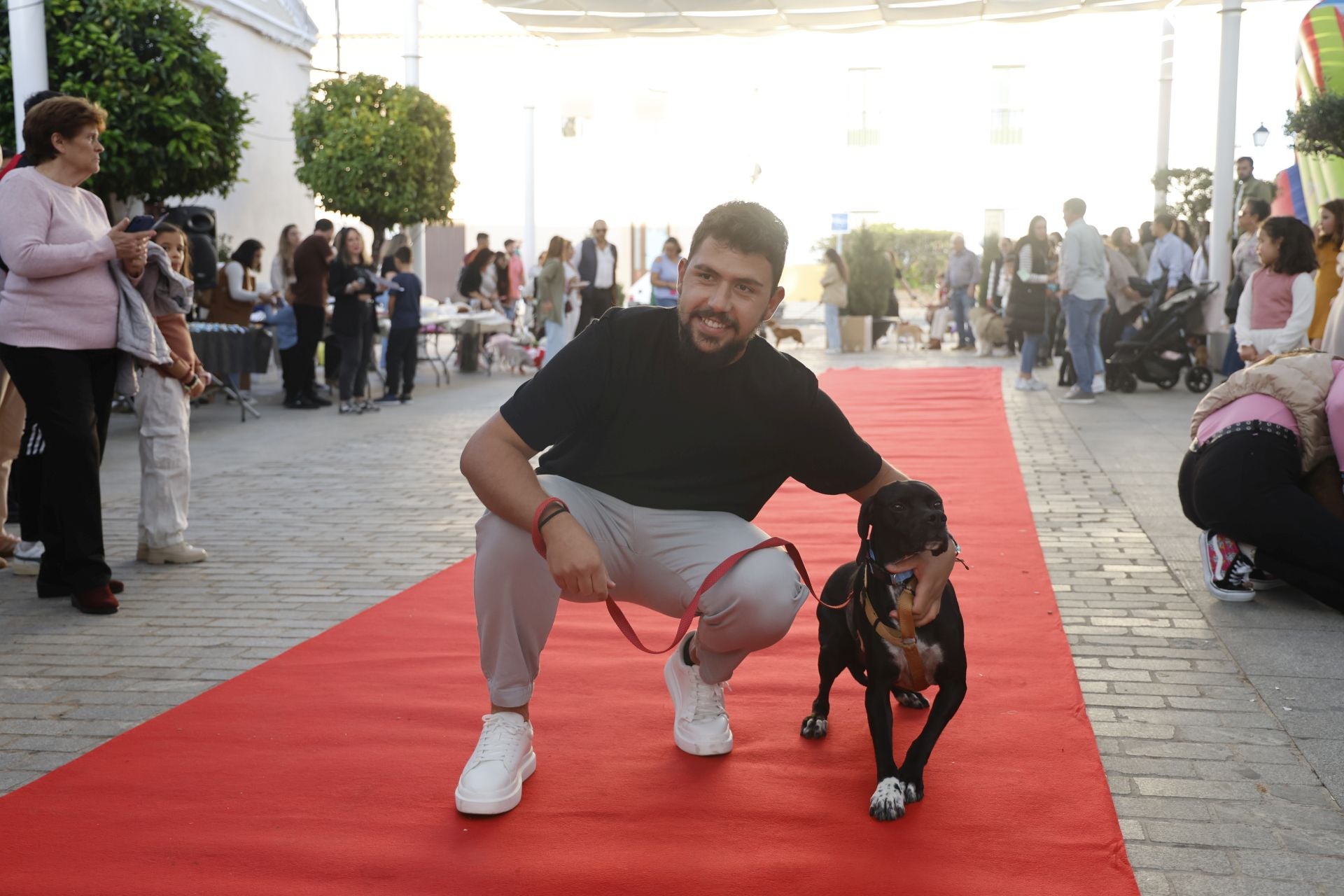 V Desfile Canino (I)