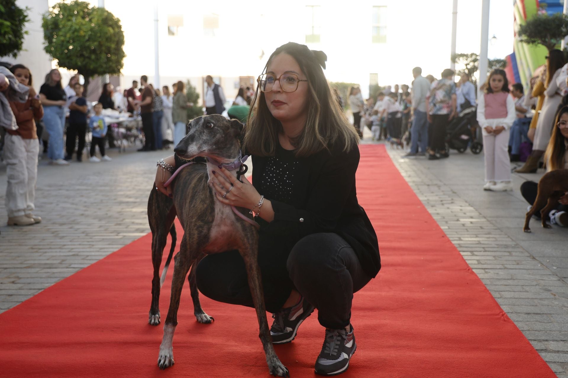 V Desfile Canino (I)