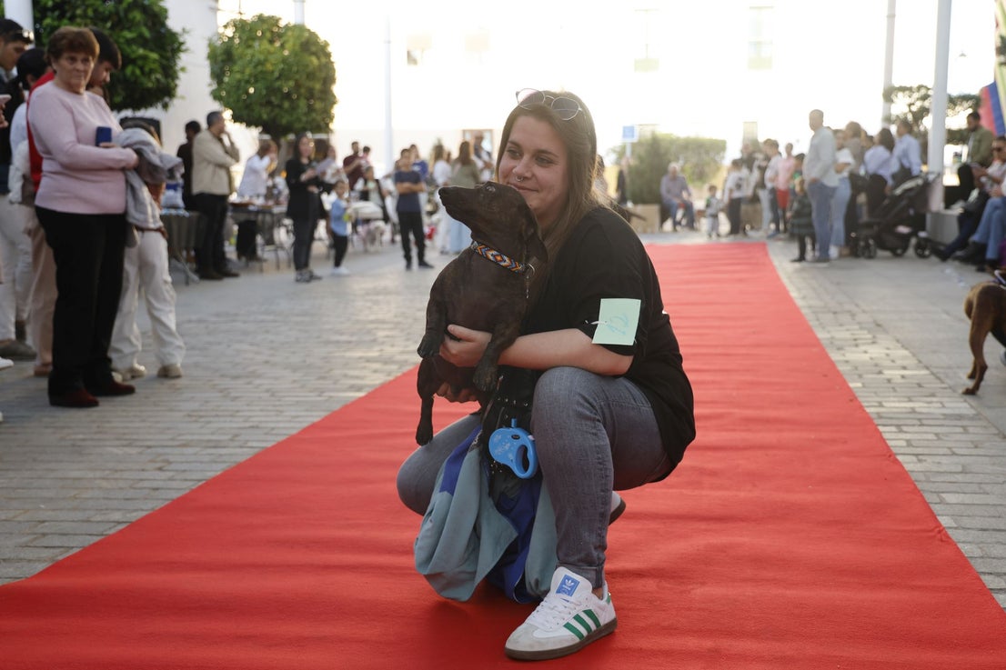 V Desfile Canino (I)
