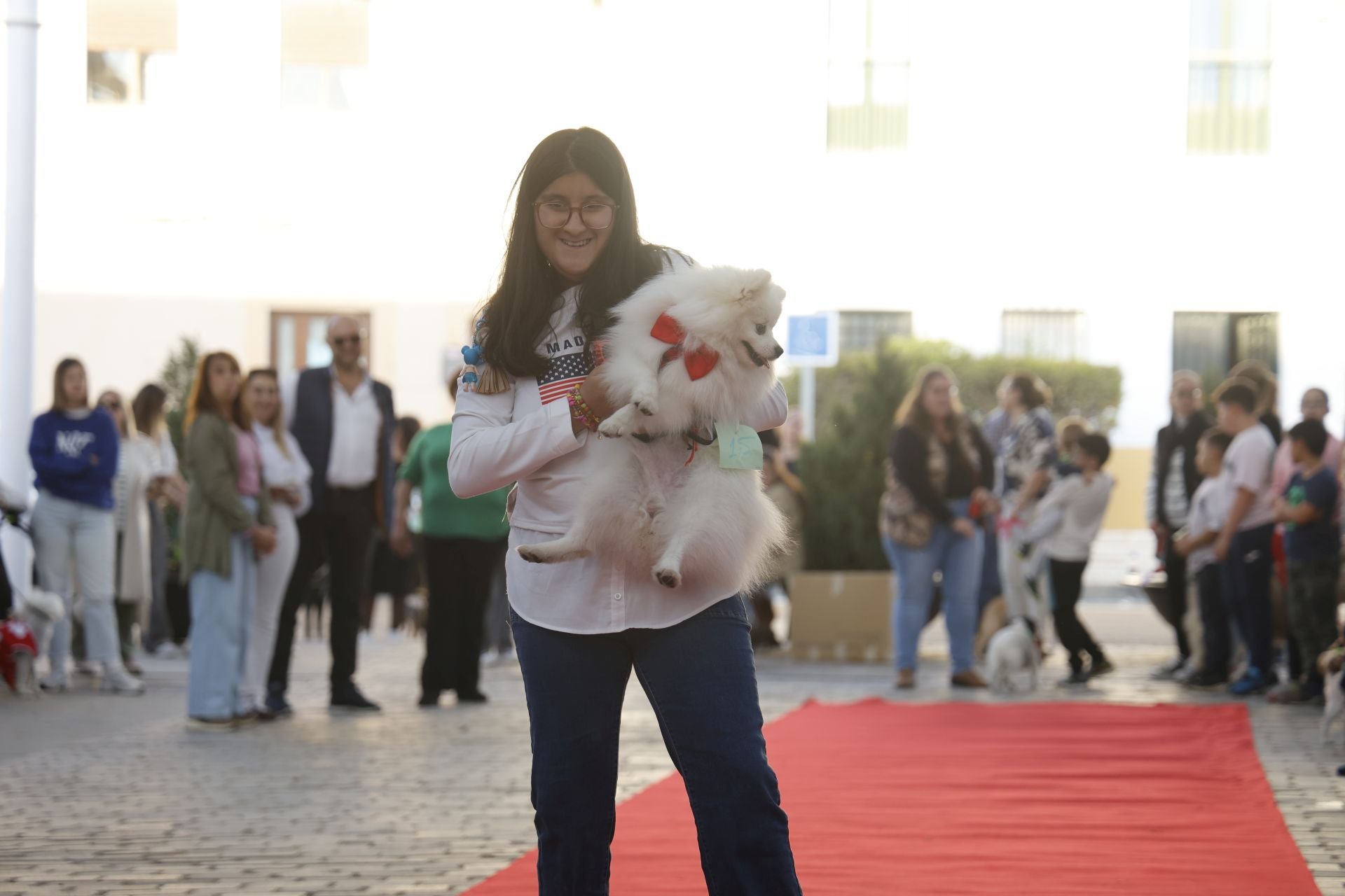 V Desfile Canino (I)