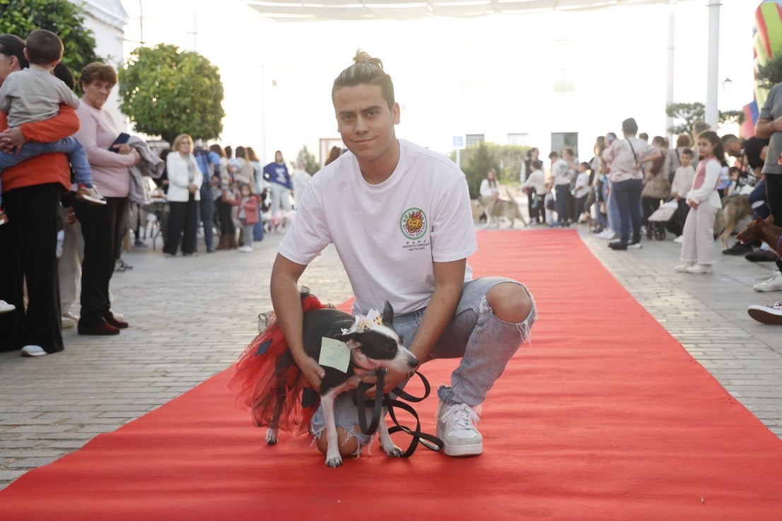V Desfile Canino (I)