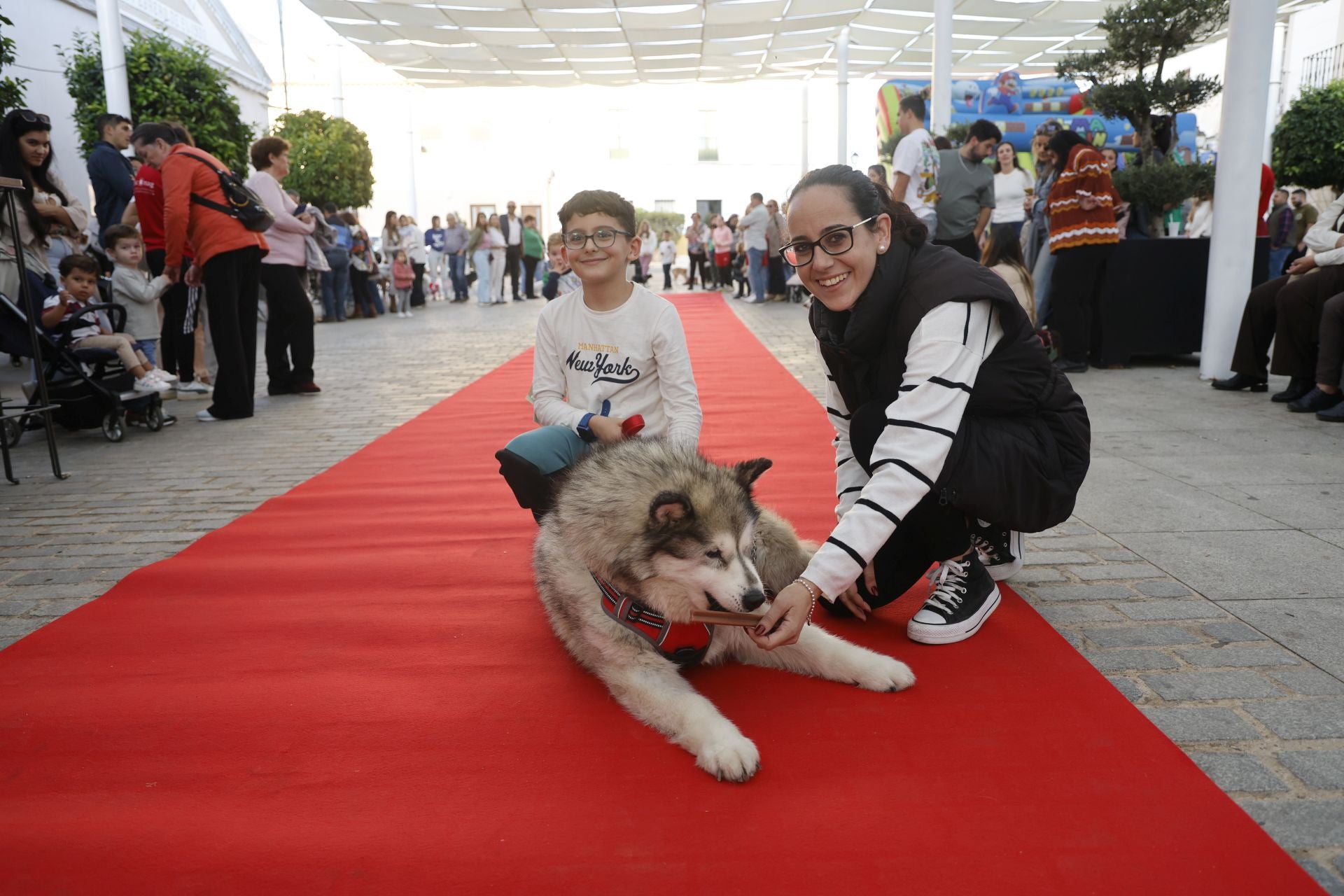 V Desfile Canino (I)