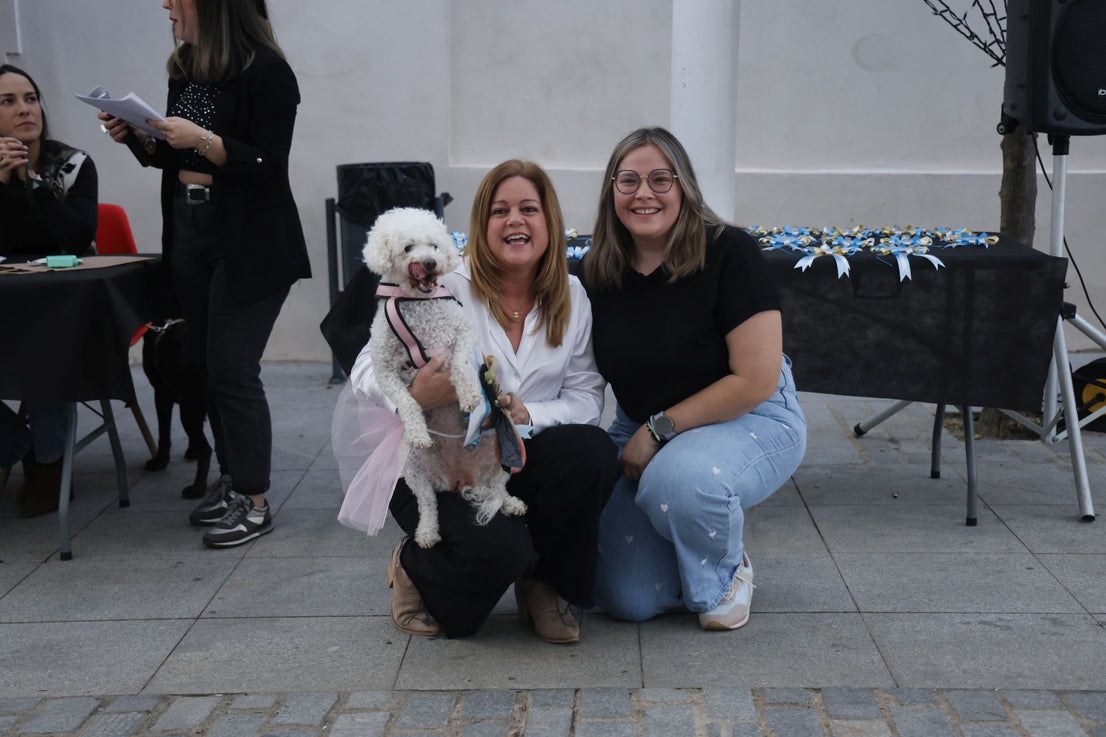 V Desfile Canino (II)
