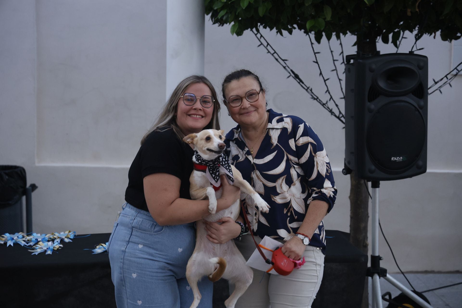 V Desfile Canino (II)