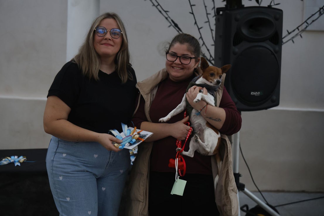 V Desfile Canino (II)