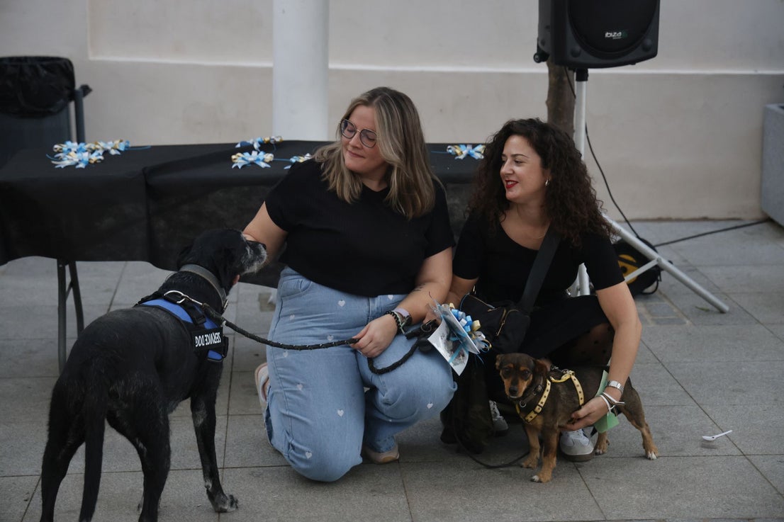 V Desfile Canino (II)