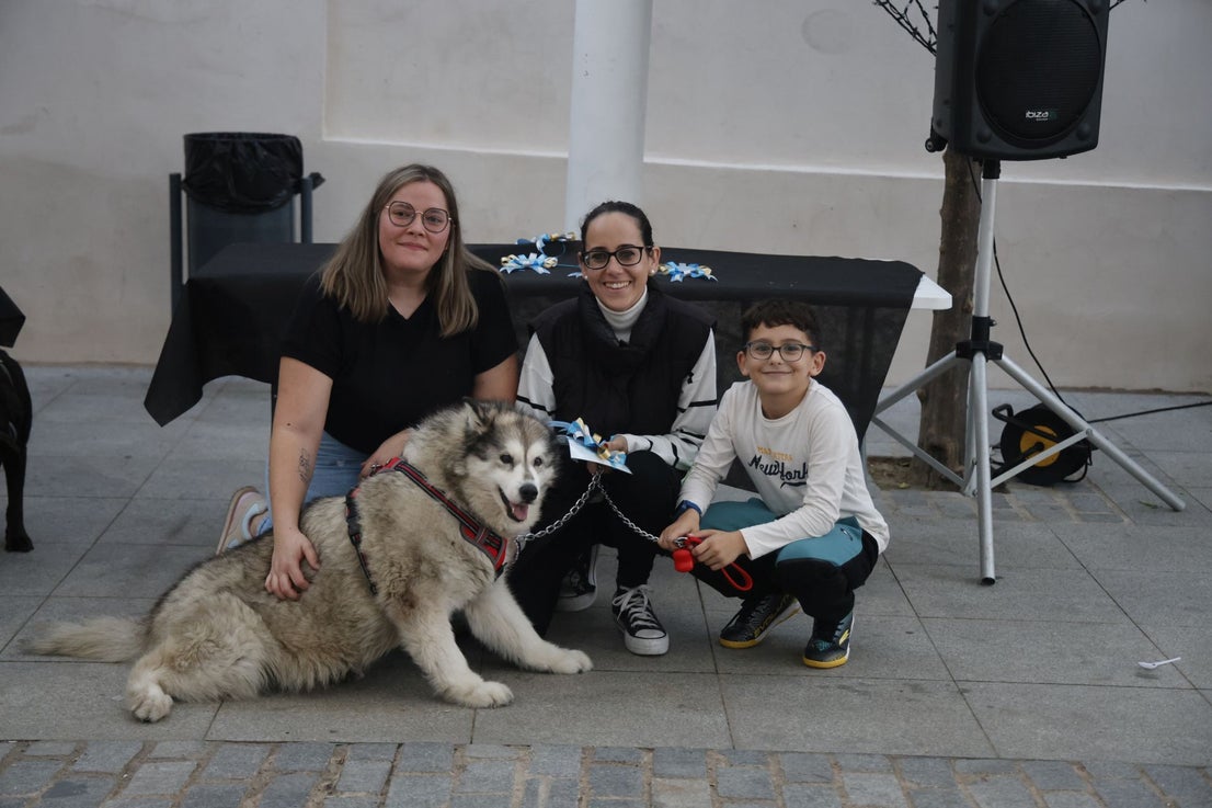 V Desfile Canino (II)