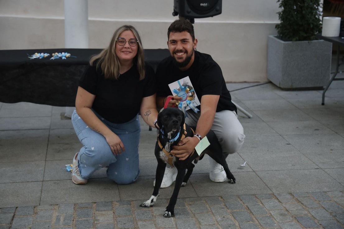 V Desfile Canino (II)