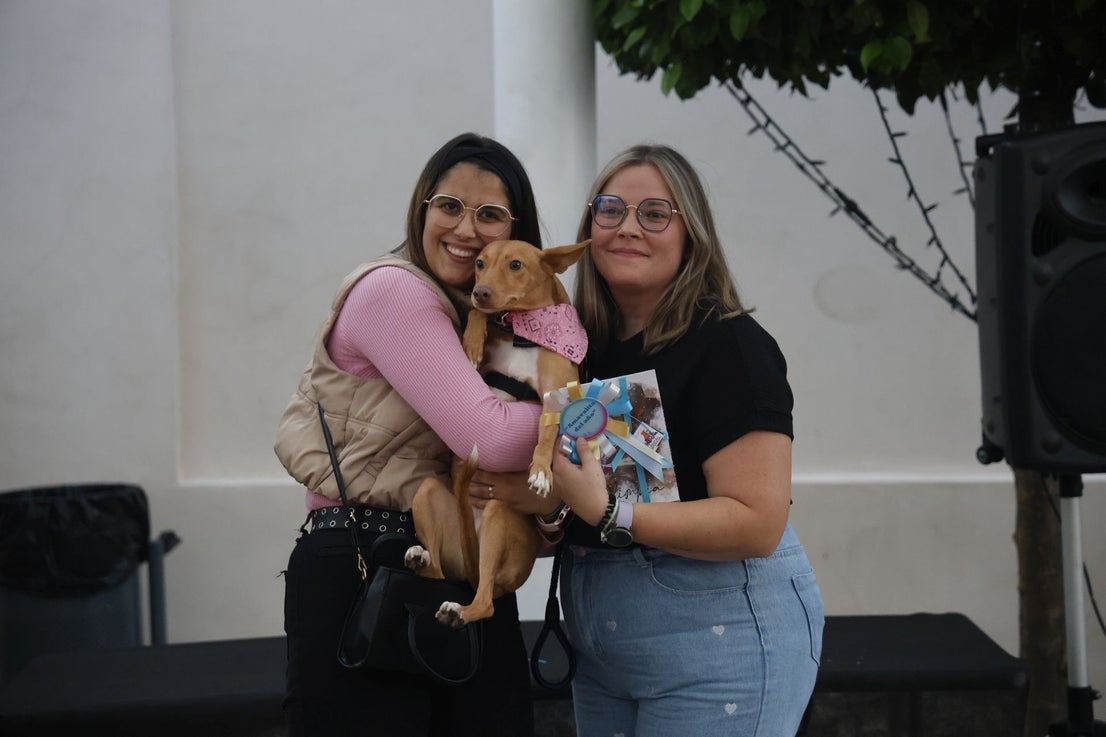 V Desfile Canino (II)