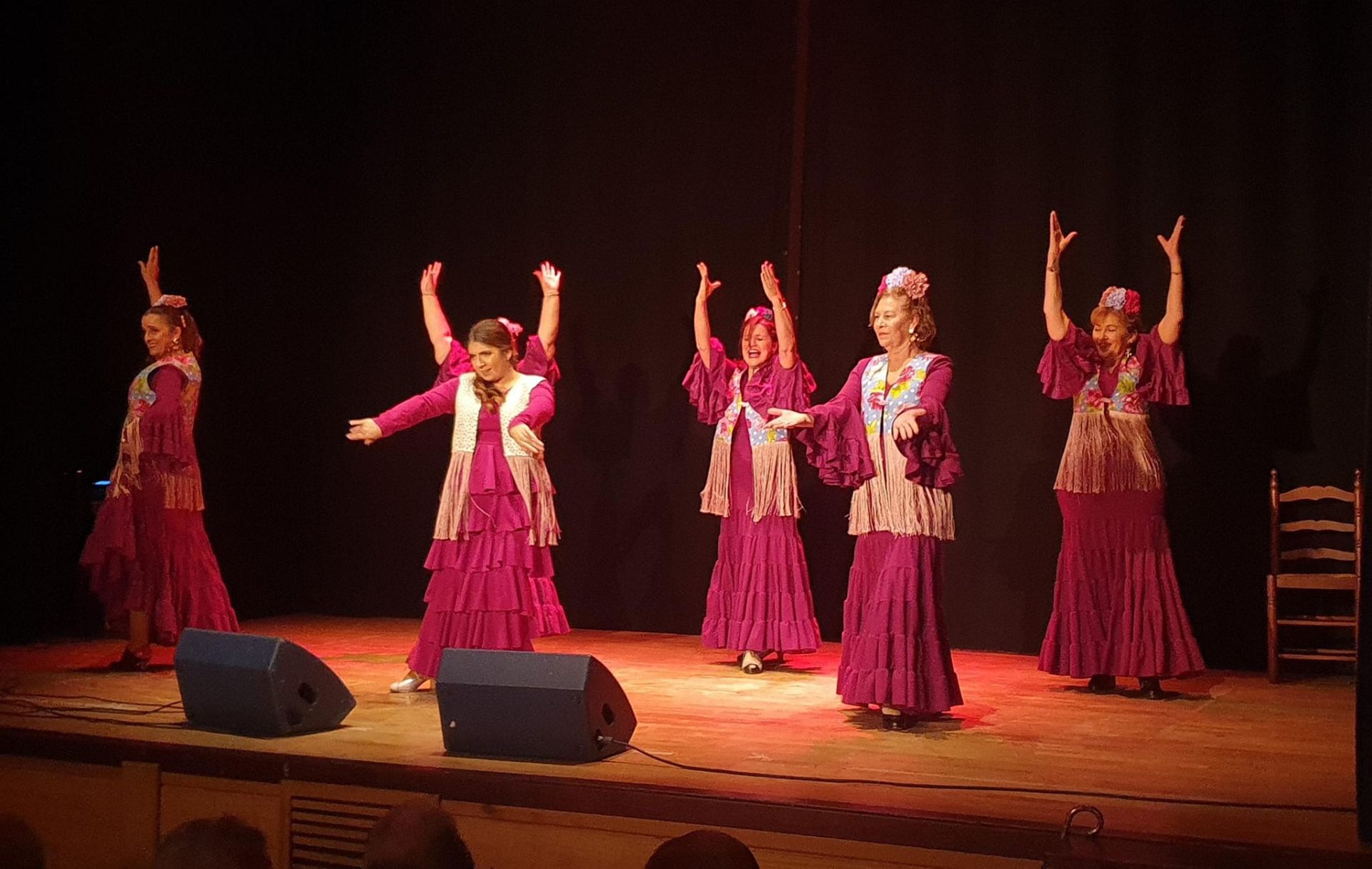 Gala Flamenca Benéfica
