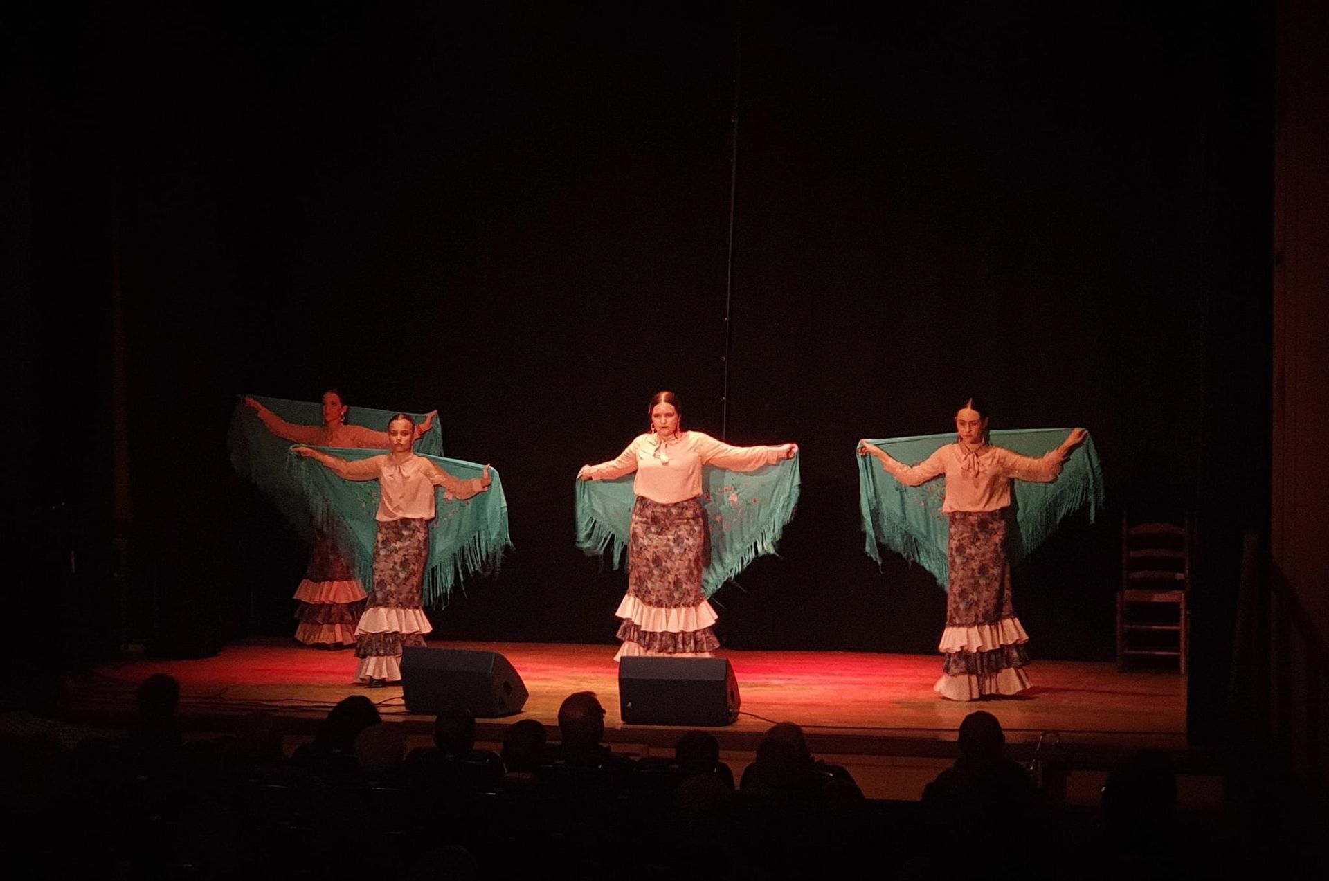Gala Flamenca Benéfica