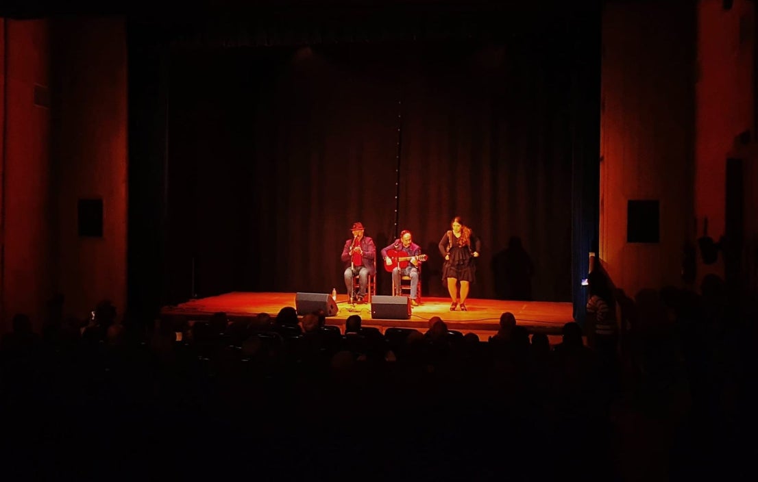 Gala Flamenca Benéfica