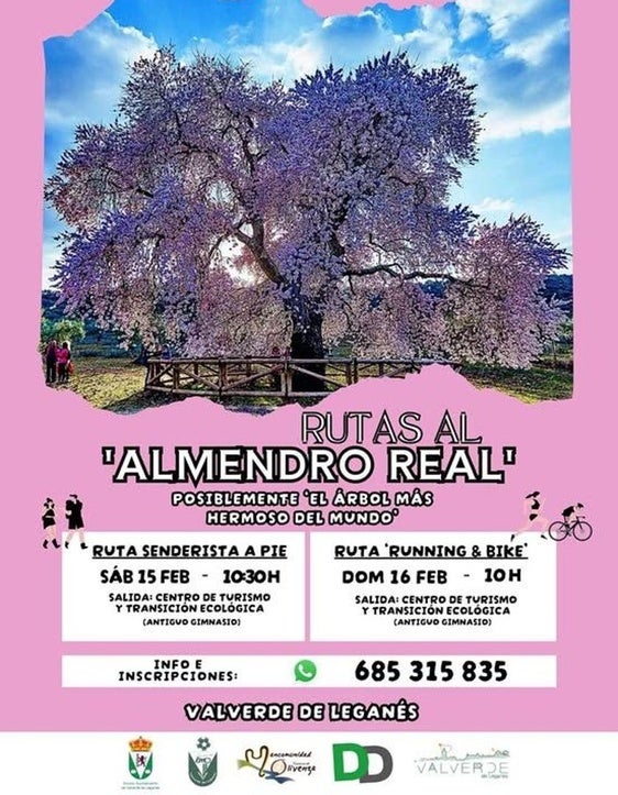 Organizadas las primeras visitas al Almendro Real
