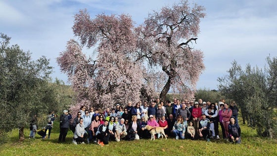 Un centenar de personas participan en la ruta al Almendro Real