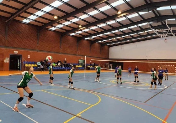 Cadetes e infantiles ganan en voleibol