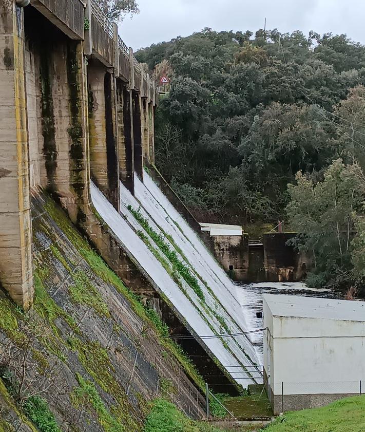 Imagen secundaria 2 - Algunas imágenes del pantano