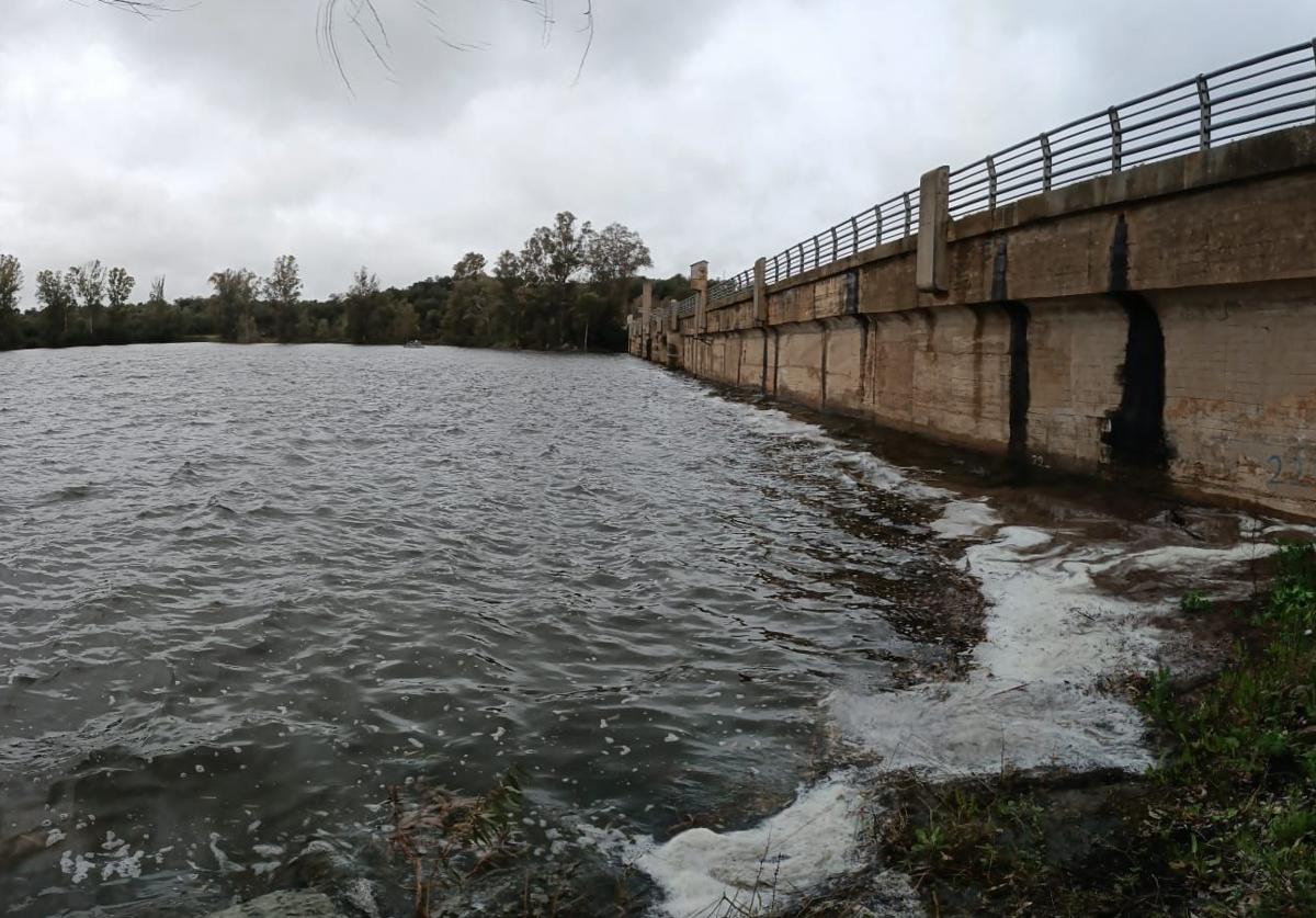 Imagen principal - Algunas imágenes del pantano