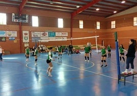 Los equipos de voleibol terminan la liga plata con victoria y derrota