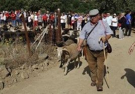 Inicio del recorrido trashumante