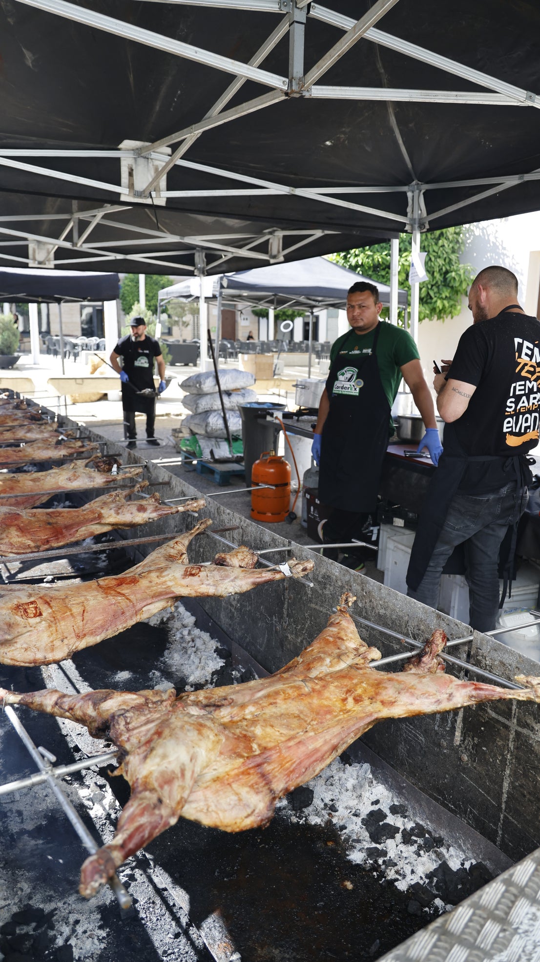 'Vive la Trashumancia' y 'Feria del Queso Artesano' (III)