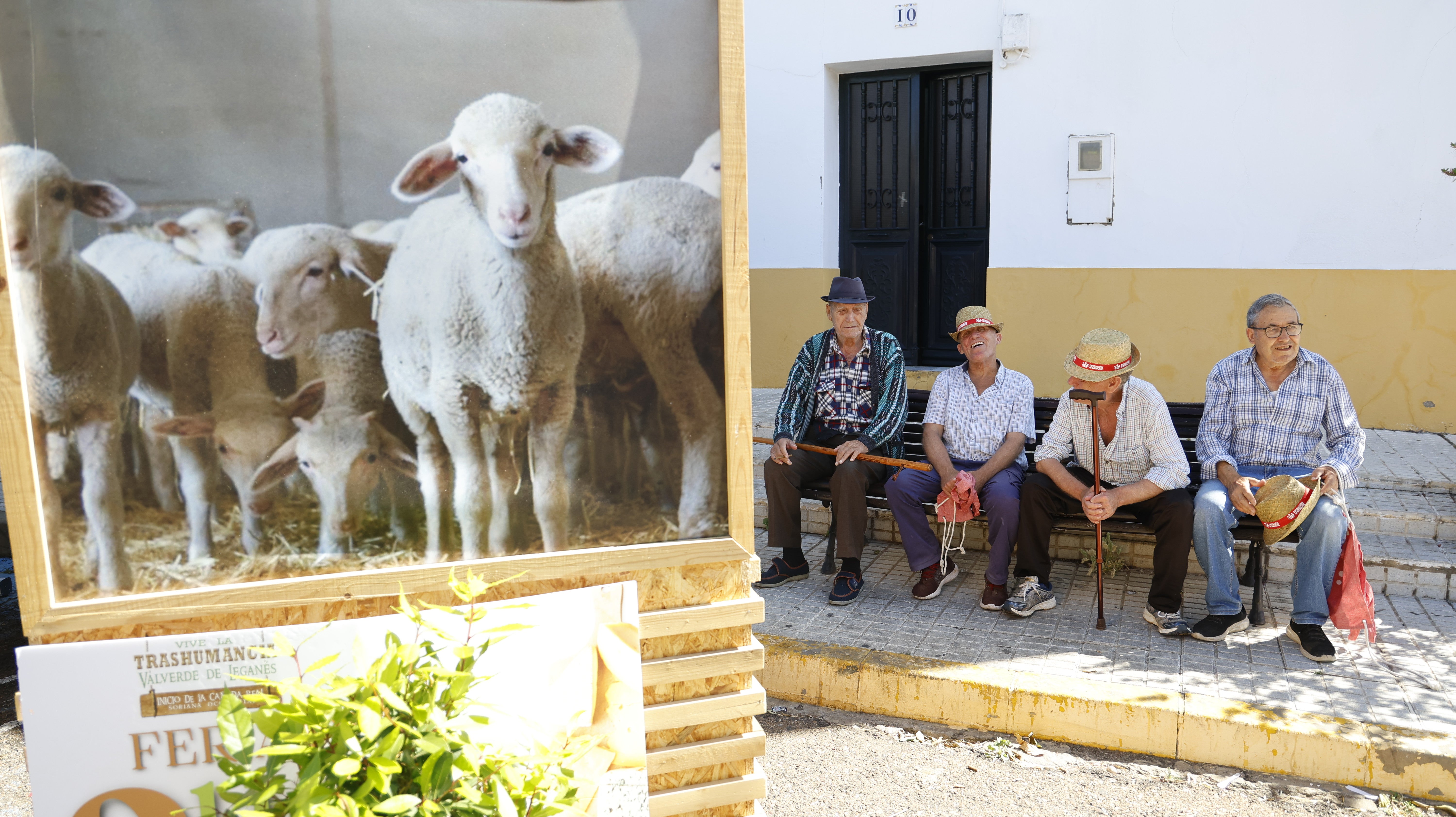 &#039;Vive la Trashumancia&#039; y &#039;Feria del Queso Artesano&#039; (III)