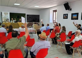 Subasta de ganado