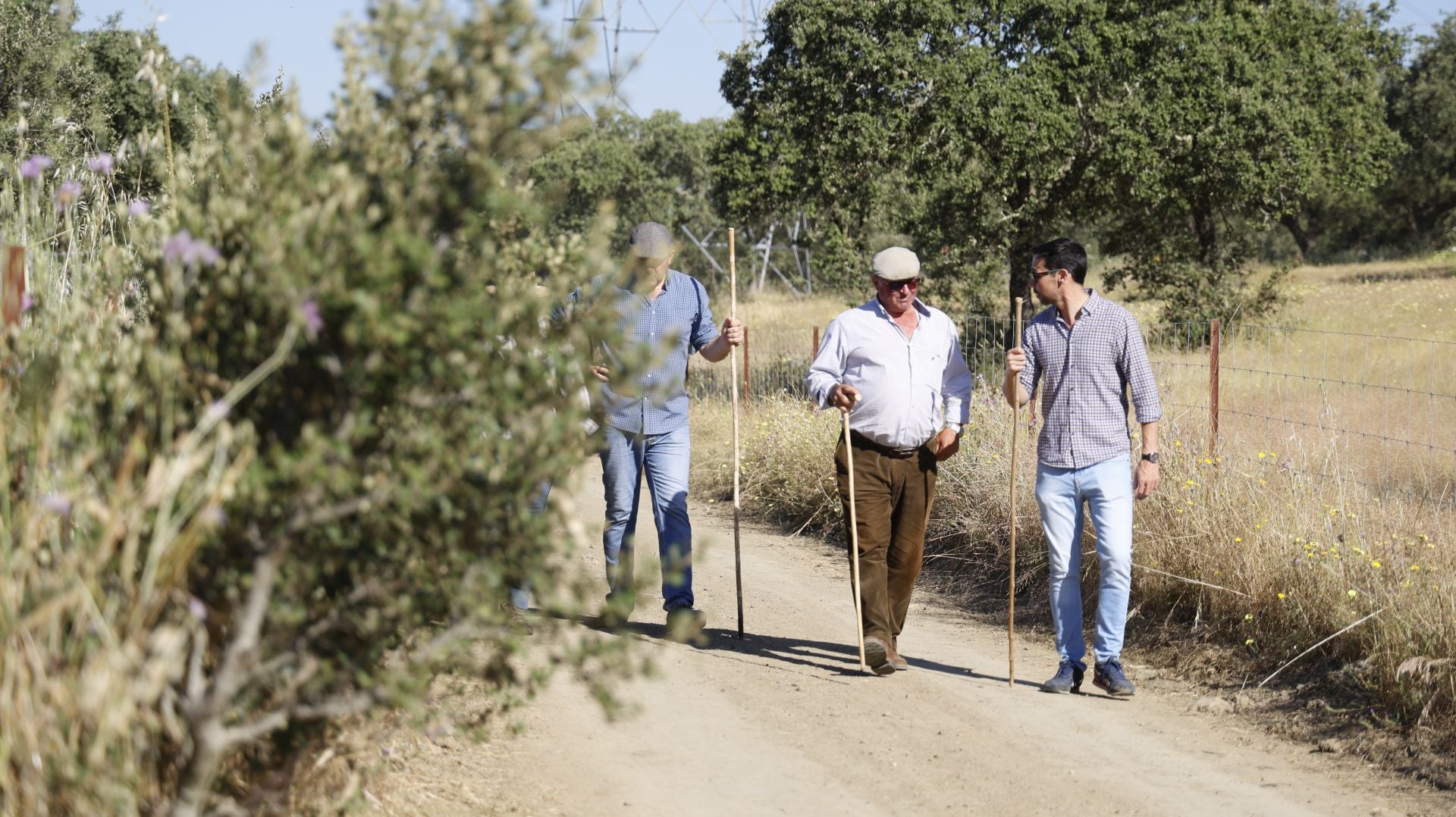 'Vive la Trashumancia' y 'Feria del Queso Artesano' (IV)