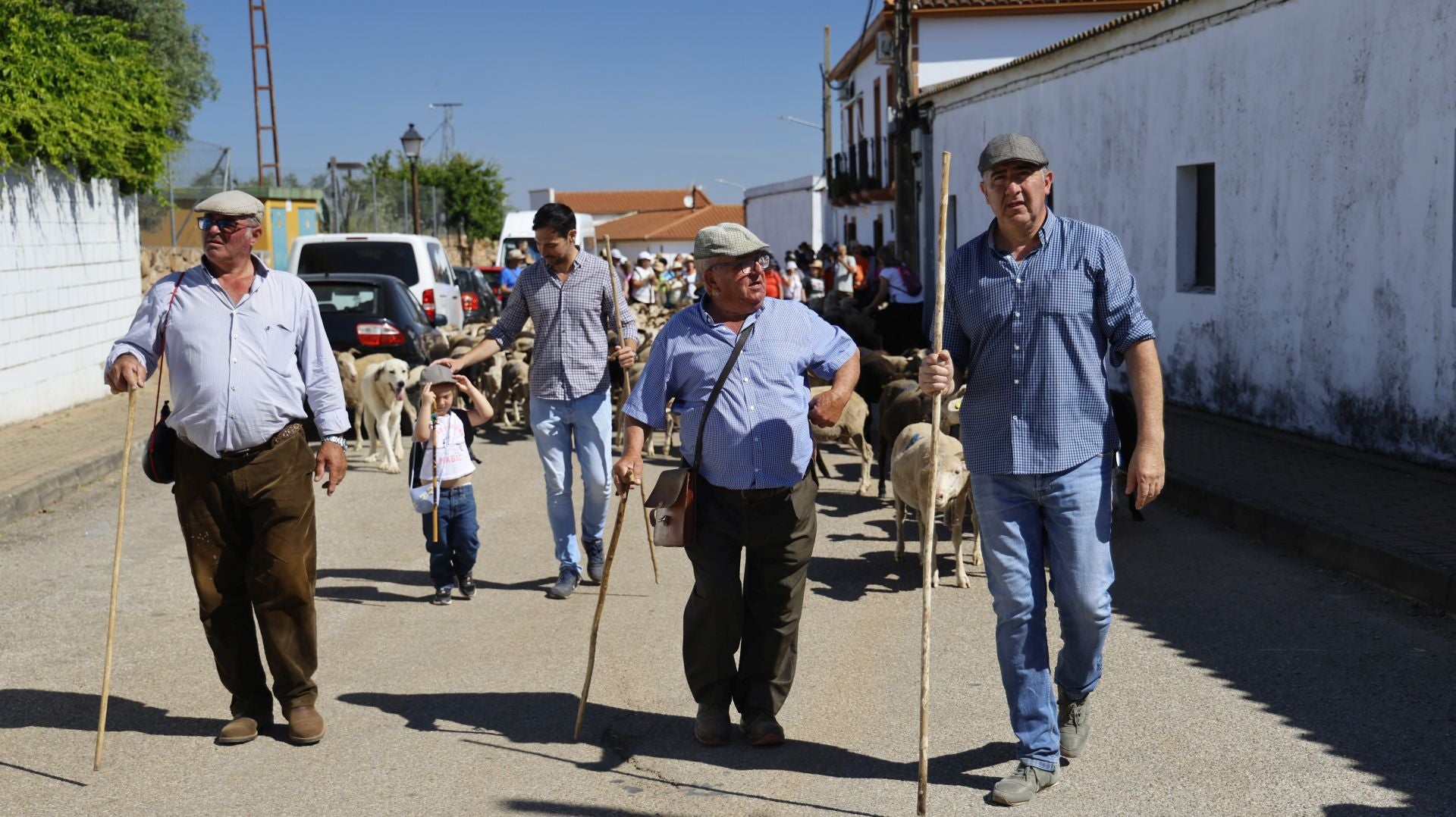 'Vive la Trashumancia' y 'Feria del Queso Artesano' (IV)