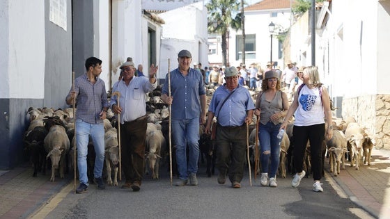 Valverde revive su esencia más rural con la Trashumancia y la Feria del Queso