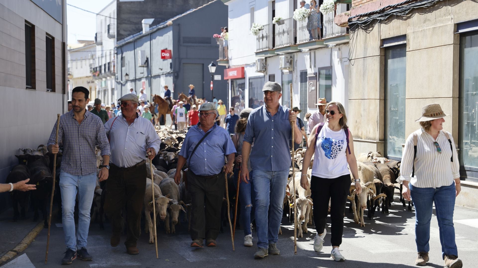&#039;Vive la Trashumancia&#039; y &#039;Feria del Queso Artesano&#039; (IV)