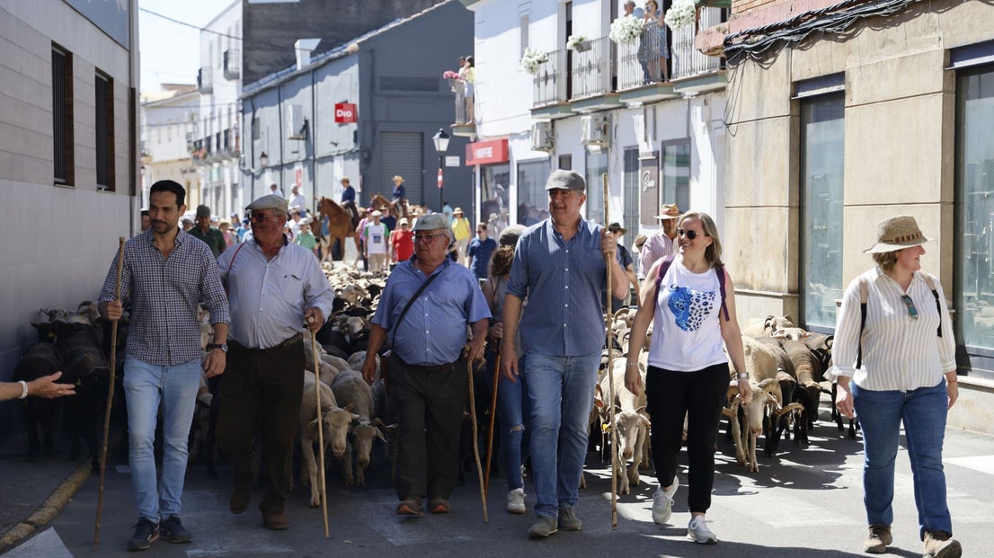 'Vive la Trashumancia' y 'Feria del Queso Artesano' (IV)